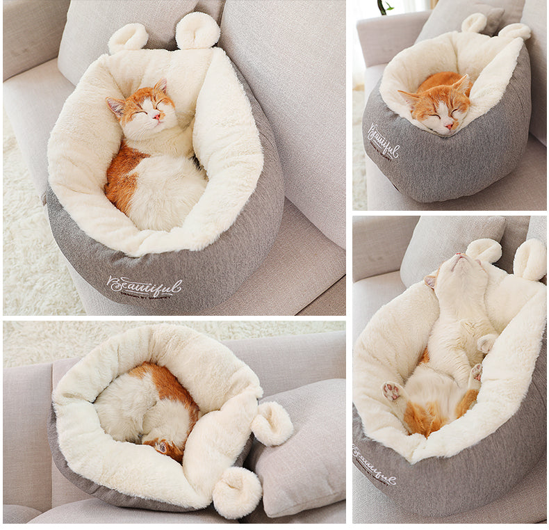 A warm bed so that your cat is never cold