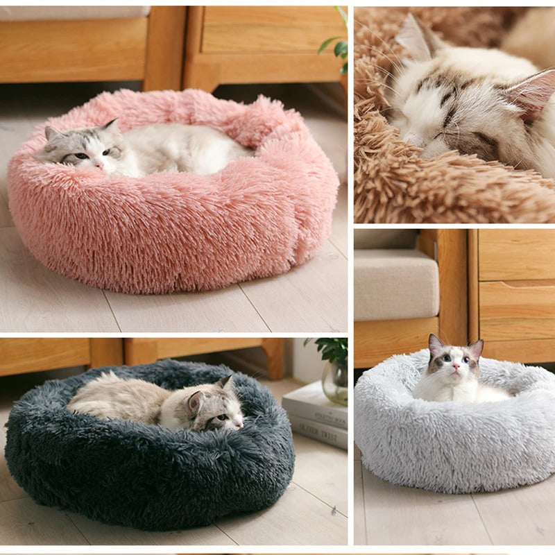 soft bed for pets to lie down and rest