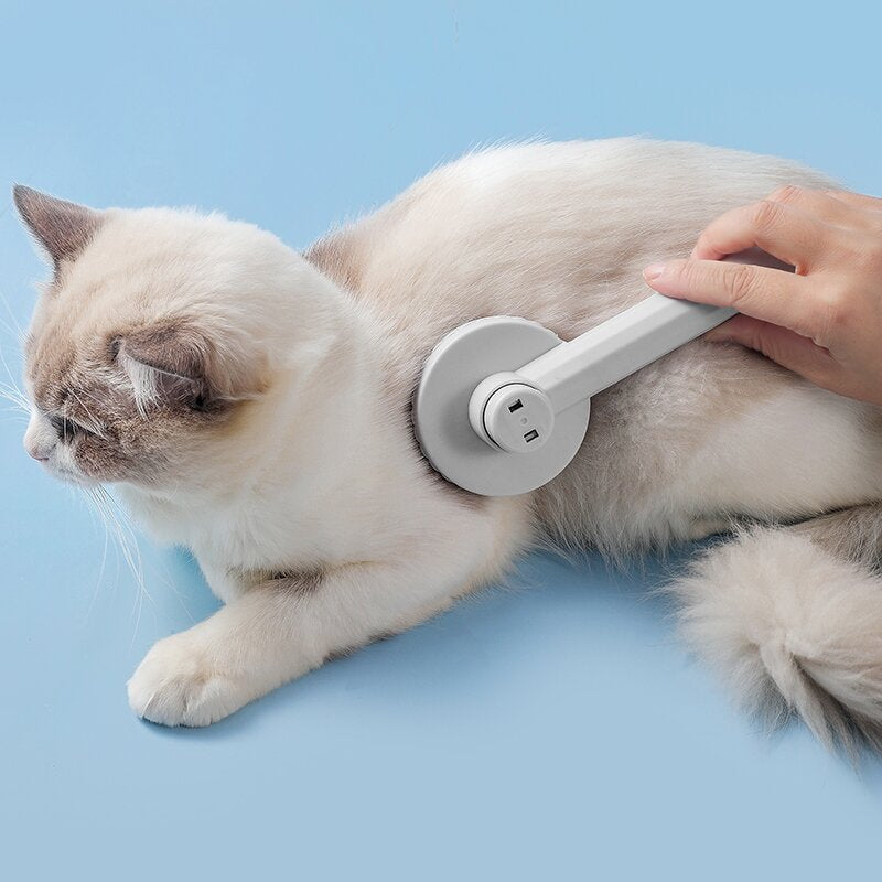 pet hair removal brush