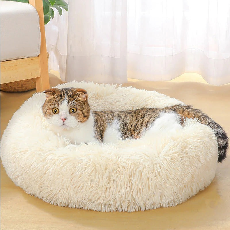 soft bed for pets to lie down and rest