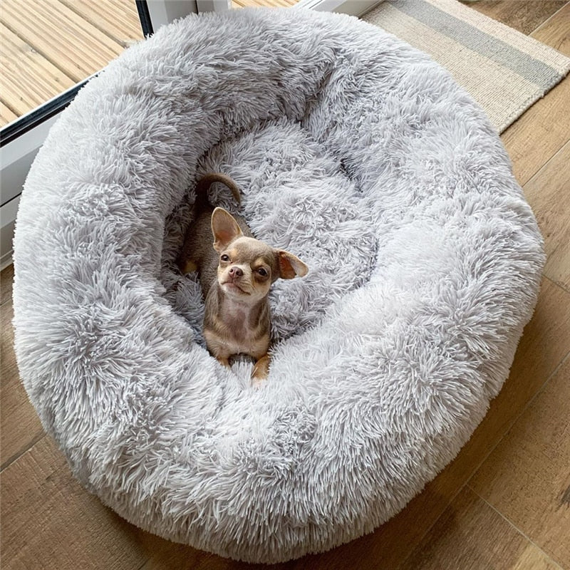 soft bed for pets to lie down and rest