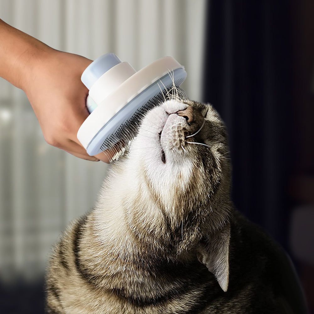 pet hair removal brush