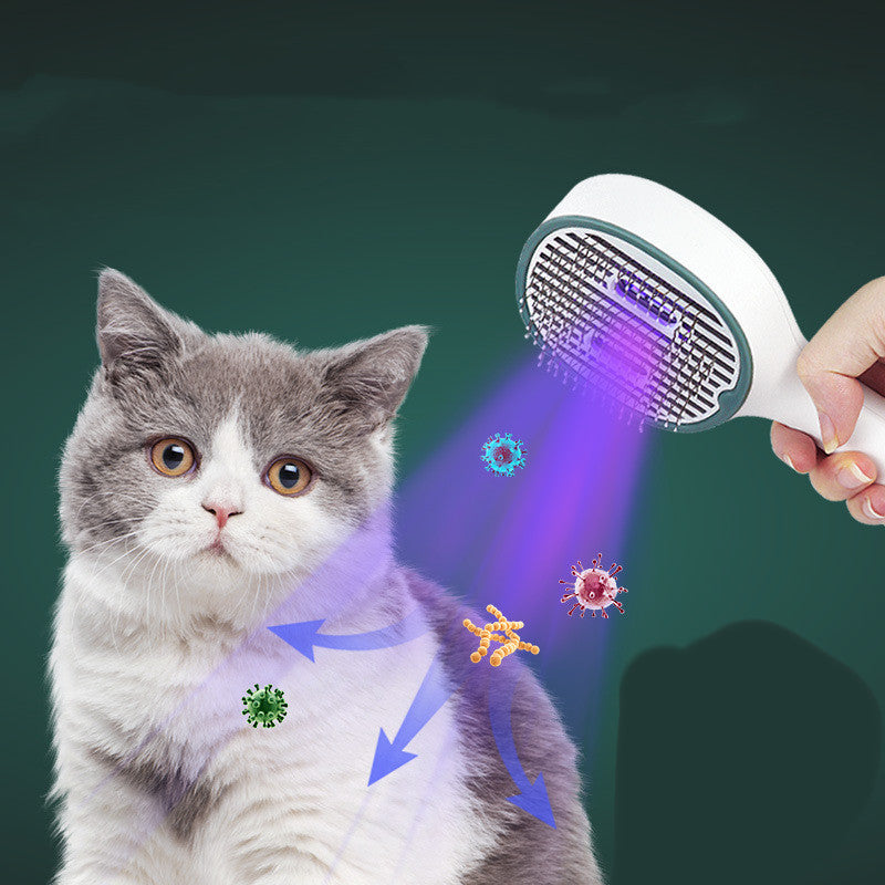 Cat hair brush,for hair sterilization