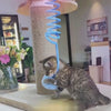 Load and play video in Gallery viewer, Interactive Play Pet Supplies